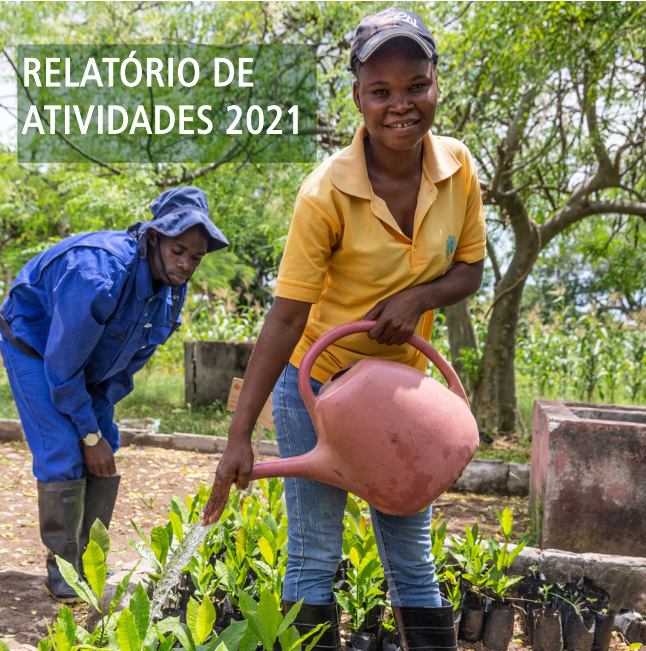 Annual Report 2021 - 