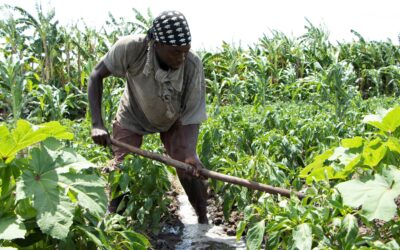 Pequenos agricultores, de mãos dadas com o clima